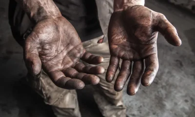 Resgatados 59 operários vítimas de trabalho escravo na PB